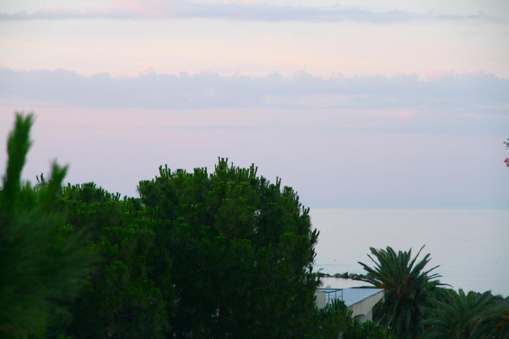 Casa Mimi B&B Pescara Bagian luar foto